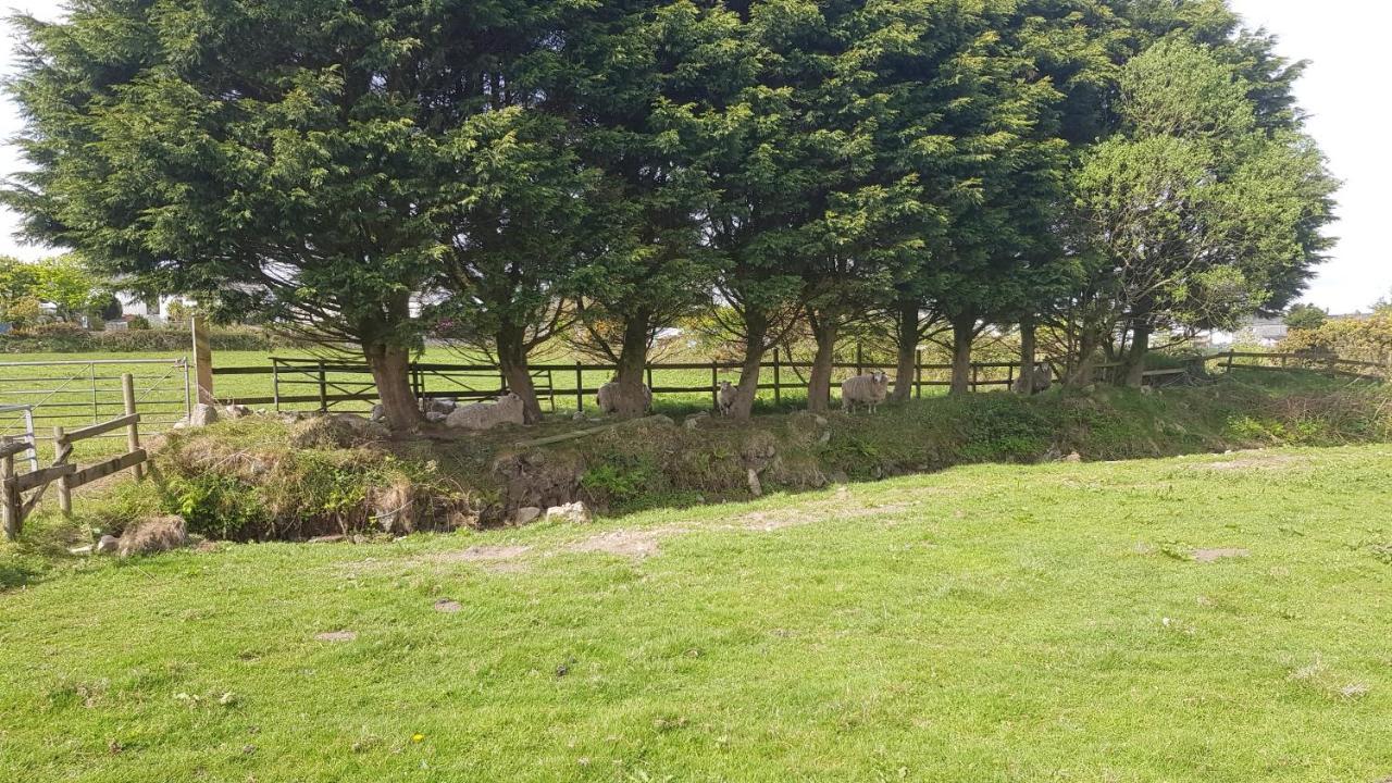 Cornish Skies Glamping Pool Zewnętrze zdjęcie