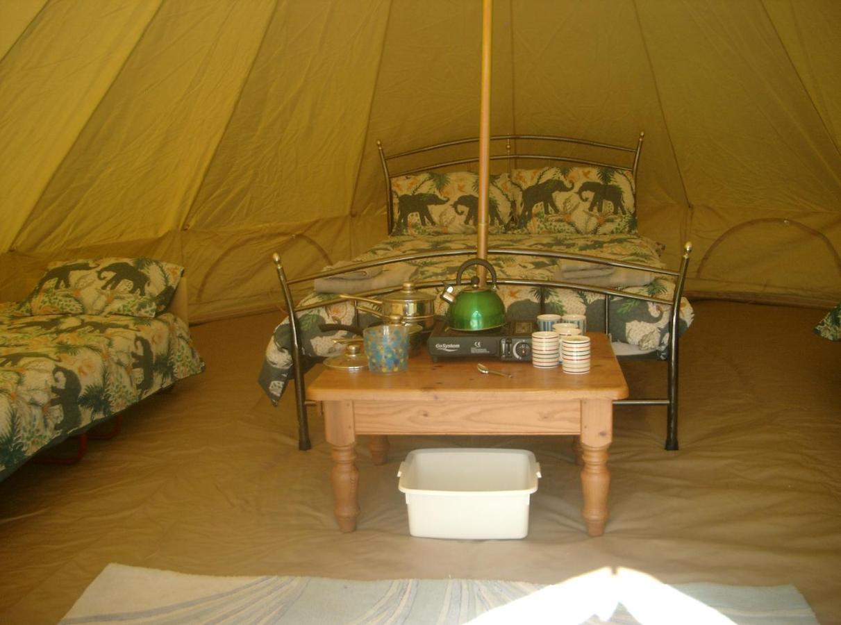 Cornish Skies Glamping Pool Zewnętrze zdjęcie