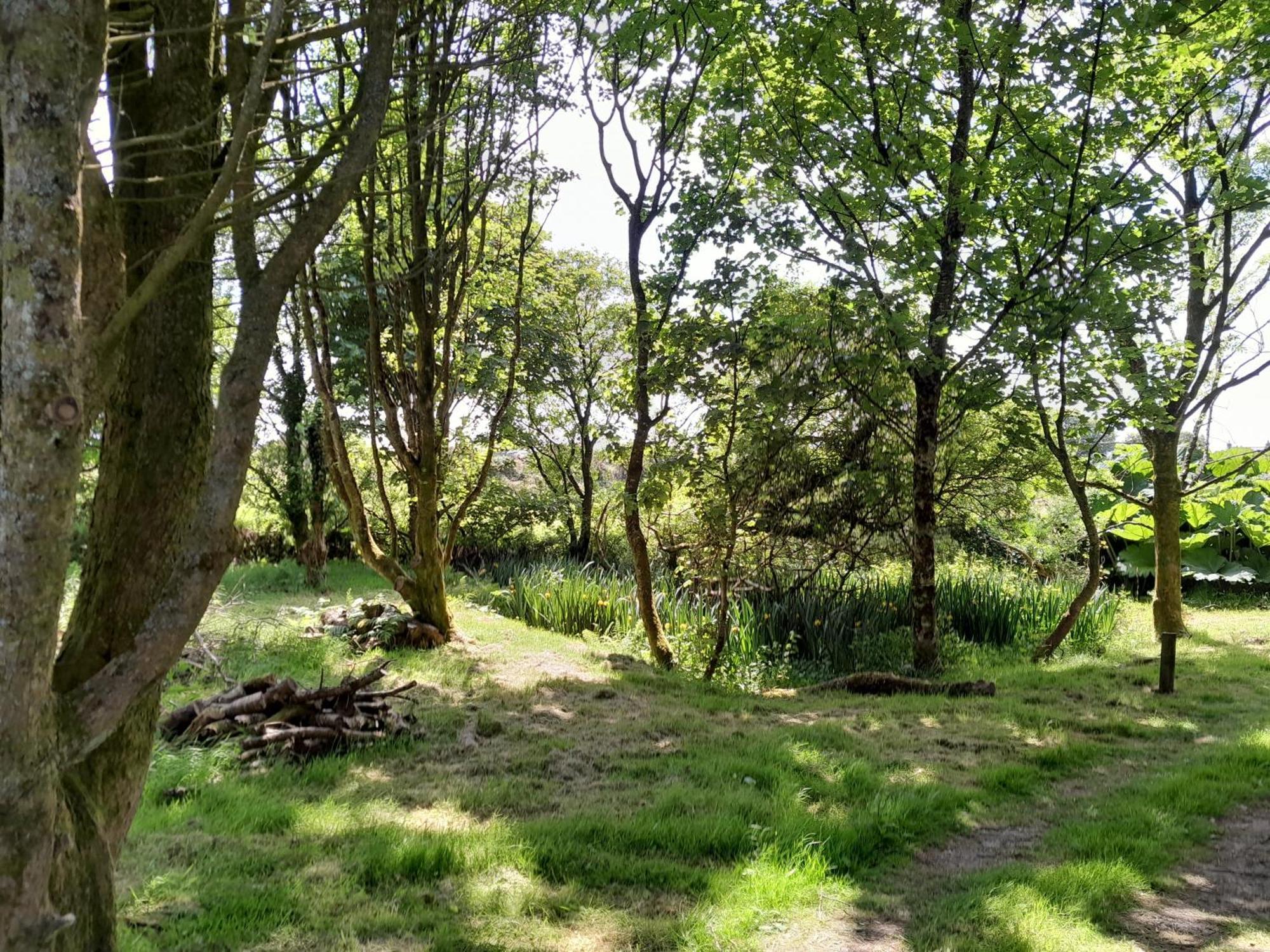 Cornish Skies Glamping Pool Zewnętrze zdjęcie